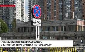 Нужны ли платные парковки в крупных пригородах Петербурга: ЛенТВ24 провел опрос в Мурино