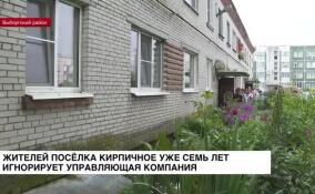 Жителей поселка Кирпичное уже семь лет игнорирует управляющая компания