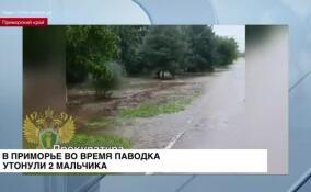 В Приморье во время паводка утонули два мальчика