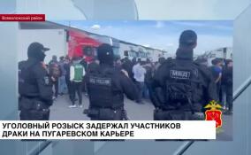 Сотрудники уголовного розыска задержали участников драки на Пугаревском карьере