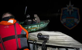 Двоих человек искали на акватории Ладожского озера минувшей ночью
