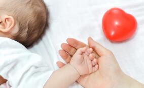 За прошлую неделю в Ленобласти родилось 250 детей