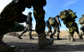 Украина отправила на фронт последнее крупное подразделение из резерва