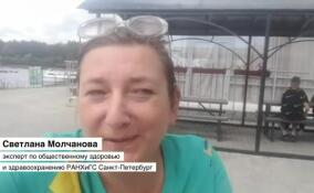 Светлана Молчанова: удаленная работа имеет определенные плюсы
