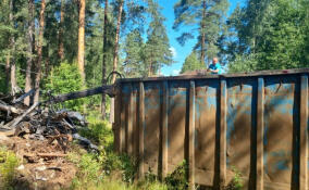 Почти 330 тонн отходов вывезли со стихийных свалок в Березовике