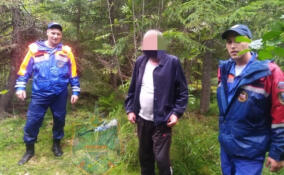У деревни Пупышево четыре спасательных отряда разыскивали заплутавшего мужчину