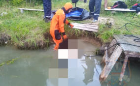 В Тосненском районе мужчина утонул в пожарном водоёме