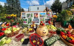 Огородники из Горбунков взяли призовые места на «Ветеранском подворье-2023»