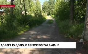 Три дома в поселке Кутузовское Приозерского района остаются без транспортного сообщения