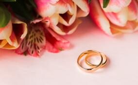 Свыше 250 свадеб сыграли в Ленобласти в «медово-яблочную» неделю