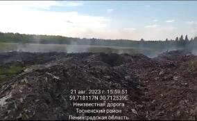 Инспекторы эконадзора спугнули «черных искателей» металла на старой свалке в Тосненском районе