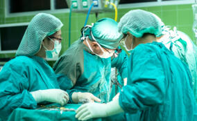 Первую операцию по пересадке печени выполнили в Ленобласти