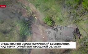 Средства ПВО сбили украинский беспилотник над территорией Белгородской области
