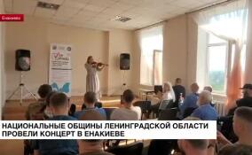 Представители различных национальных диаспор показали музыкальные номера на концерте в Енакиево