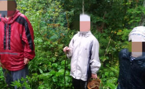 В Волховском районе нашли заблудившихся мужчину с двумя детьми