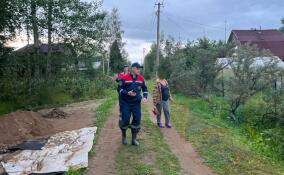 Спасатели нашли заблудившуюся в лесу у СНТ «Волховский-6» женщину