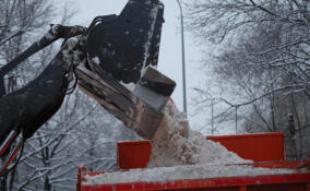 В Петербурге уже готовят к зиме снегоплавилки