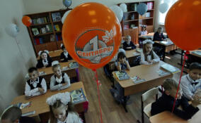 В этом году в школы Ленобласти пойдут 24,7 тысячи первоклассников