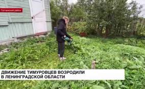 В Ленинградской области возродили движение тимуровцев
