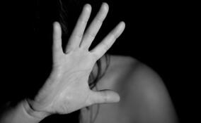 Девушка стала жертвой изнасилования на базе отдыха во Всеволожском районе