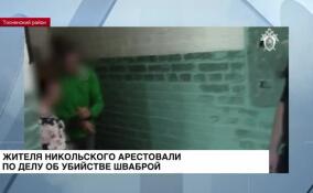 Жителя Никольского арестовали по делу об убийстве шваброй