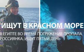 «Унесло в открытое море»: появились подробности исчезновения россиянки-дайверши в Египте