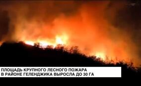 Площадь крупного лесного пожара в районе Геленджика выросла до 30 га