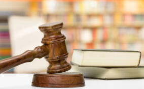 Предприниматель пойдет под суд за незаконную вырубку деревьев в Приозерском районе