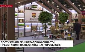 Достижения Ленобласти представили на выставке «Агрорусь-2023»