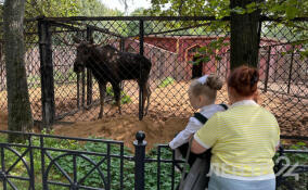 1 сентября школьники и дошкольники могут бесплатно посетить Ленинградский зоопарк