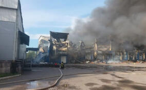 В Металлострое горит двухэтажное здание хладокомбината, на месте работают свыше 80 пожарных