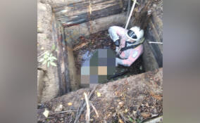 Тело мужчины нашли в заброшенном колодце в Тосненском районе
