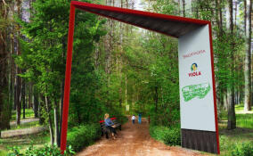 В природном парке «Токсовский» обустроят новую экотропу со скамейками из переработанного пластика