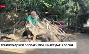 Весь сентябрь Ленинградский зоопарк принимает передачи для питомцев