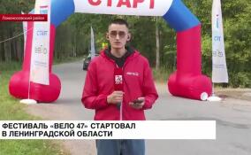 Фестиваль «Вело 47» стартовал в Ломоносовском районе