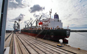 Глубоководный зерновой терминал открыли в морском порту «Высоцк»