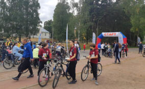 В Ломоносовском районе две сотни человек приняли участие в областном фестивале "Вело 47"