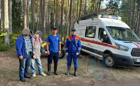 Загулялась: спасатели искали пожилую женщину в лесу под Приозерском