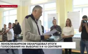 Леноблизбирком обнародовал итоги голосования на выборах 9 и 10 сентября