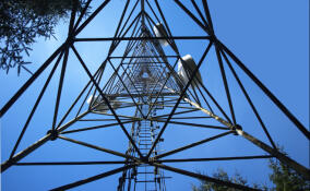 В МегаФоне сообщили о модернизации сети в Гатчинском районе Ленобласти