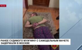 В Москве задержали мужчину с самодельным мачете