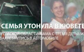 Семья утонула в кювете: под Омском мама с тремя детьми захлебнулась в машине