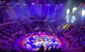 Больше 20 номеров представят на II Международном цирковом фестивале «Без границ» в Петербурге
