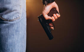 Мужчина украл алкоголь, угрожая пистолетом продавцу мини-маркета в Отрадном