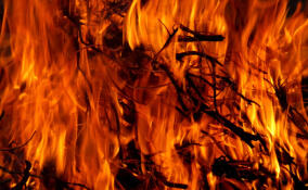 Человек погиб при пожаре в дачном доме в Форносово