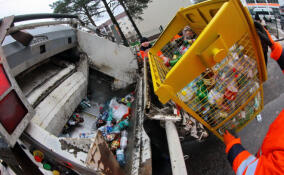 В Ленобласти расширят полномочия сельских муниципалитетов по вывозу мусора