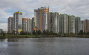 До 2040 года на юге петербургской агломерации могут построить 13 млн квадратов жилья