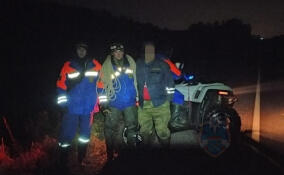 Пятничным вечером спасатели разыскивали пожилого мужчину, заплутавшего в лесу под Кировском