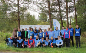 Две сотни активистов привели в порядок лесопарк имени П.Г. Антипова в Волхове ко Дню работника леса
