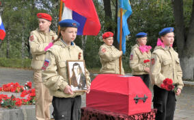 Останки погибшего в Ленобласти красноармейца вернут на родину